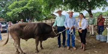 Sader Fortalece Producción De Leche Y Carne En Coalcomán 22 Combate Y Castigo A La Extorsión Avanza En Michoacán: Bedolla