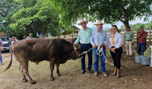 Sader fortalece producción de leche y carne en Coalcomán 1 Combate y castigo a la extorsión avanza en Michoacán: Bedolla