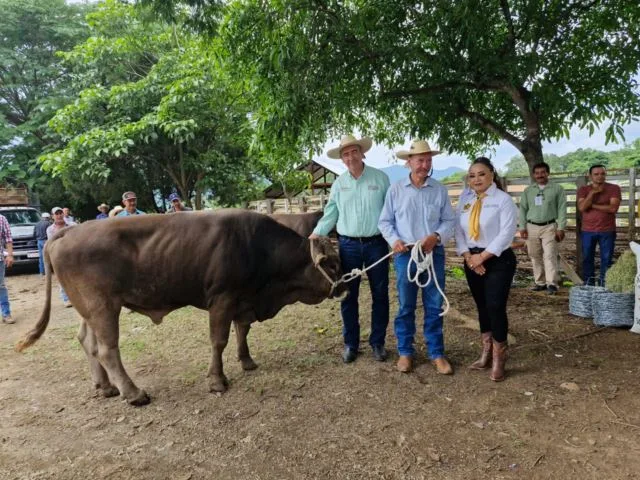 Combate Y Castigo A La Extorsión Avanza En Michoacán: Bedolla