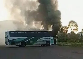 Vinculan A Proceso A Dos Presuntos Responsables De Múltiple Feminicidio Y Tentativa De Homicidio De Un Niño De Dos Años, Ocurrido En Penjamillo