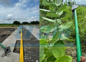 Reconocen Labor De Fuerzas Federales Y Estatales En Tareas De Búsqueda Y Localización Con Vida De Personas Desparecidas