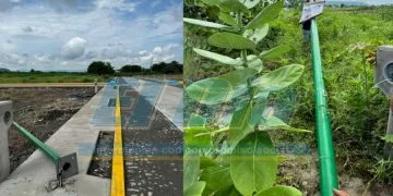 Reconocen Labor De Fuerzas Federales Y Estatales En Tareas De Búsqueda Y Localización Con Vida De Personas Desparecidas