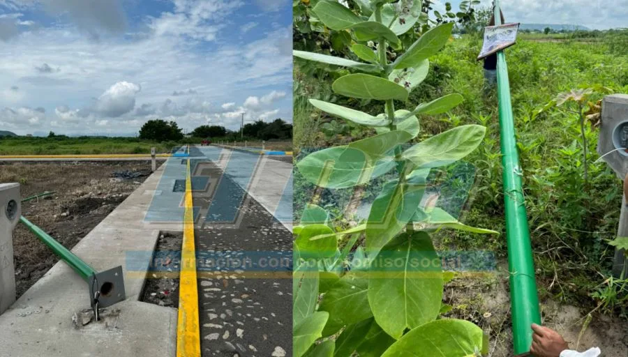 Roban Lámparas Y Cableado En Nuevo Fraccionamiento De Apatzingán 19 Roban Lámparas Y Cableado En Nuevo Fraccionamiento De Apatzingán