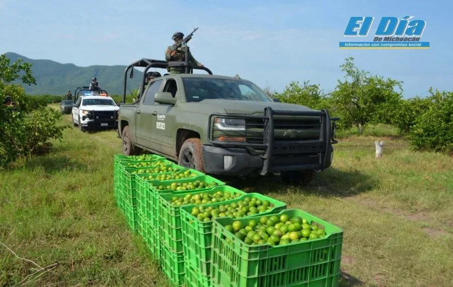 Continúan Gobierno Estatal Y Federal Con Acciones Para Establecer La Seguridad En La Producción Del Limón 19 Continúan Gobierno Estatal Y Federal Con Acciones Para Establecer La Seguridad En La Producción Del Limón