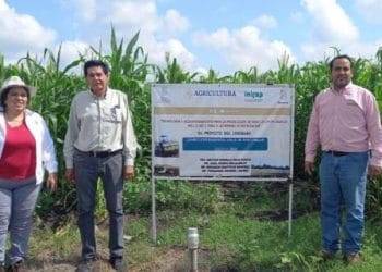 Incinera FGR droga incautada en operativos en Michoacán