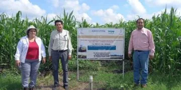 Incinera Fgr Droga Incautada En Operativos En Michoacán