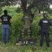 Roban Llantas De Contenedor En El Ferrocarril