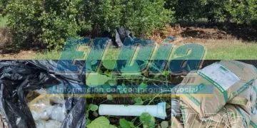 Aseguran Material Para Hacer Explosivos En Una Huerta De Limon - El Día De Michoacán