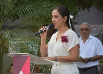 «Obligación de todos» combatir el dengue desde casa: SSM
