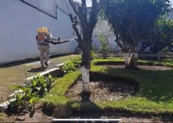 Paciente Malherido En Volcadura Es Trasladado En Helicóptero De Coalcomán A Morelia