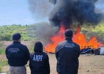 Incinera FGR droga incautada en operativos en Michoacán