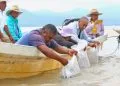 Liberan 15 Mil Peces Acúmara En El Lago De Pátzcuaro; Especie En Peligro De Extinción 29 Imparte Fge Charlas De Prevención De Adicciones A Estudiantes De Morelia