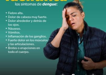 «Obligación de todos» combatir el dengue desde casa: SSM