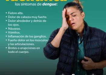 «Obligación De Todos» Combatir El Dengue Desde Casa: Ssm