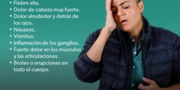 «Obligación De Todos» Combatir El Dengue Desde Casa: Ssm