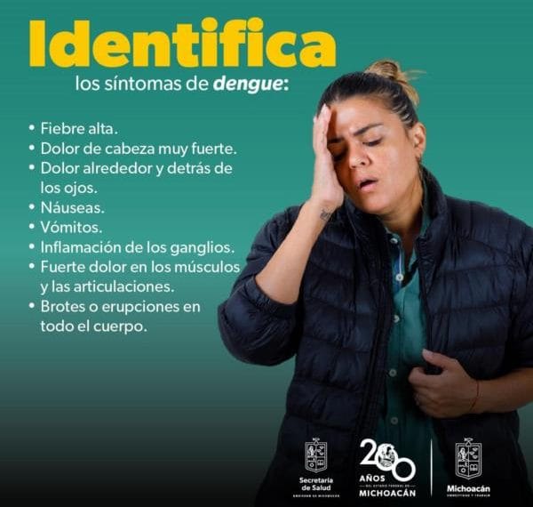«Obligación De Todos» Combatir El Dengue Desde Casa: Ssm