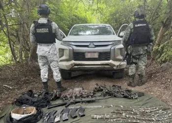 «Obligación De Todos» Combatir El Dengue Desde Casa: Ssm