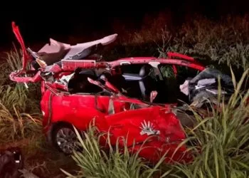 Incinera Fgr Droga Incautada En Operativos En Michoacán