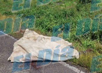 Supervisa Alfonso Martínez, labores de apoyo en los Itzícuaros
