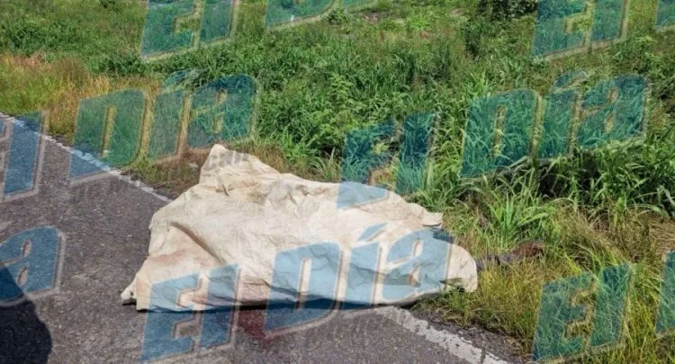 Supervisa Alfonso Martínez, Labores De Apoyo En Los Itzícuaros