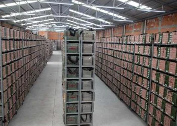 Inicia Iem Proceso De Destrucción De Material Electoral Utilizado En Las Pasadas Elecciones