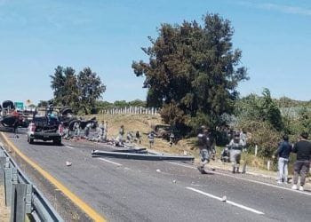 Inicia CEDH queja de oficio vs ayuntamiento de Tzintzuntzan captura de animales