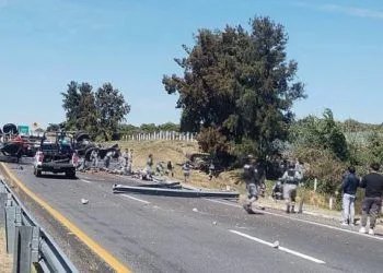 Inicia Cedh Queja De Oficio Vs Ayuntamiento De Tzintzuntzan Captura De Animales