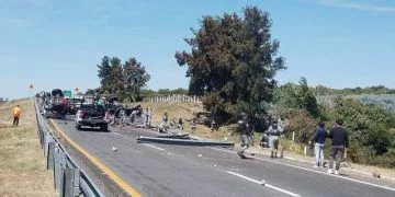 Se Accidentan Elementos De La Gn En La Autopista, Hay 2 Muertos Y 20 Heridos 22 Inicia Cedh Queja De Oficio Vs Ayuntamiento De Tzintzuntzan Captura De Animales