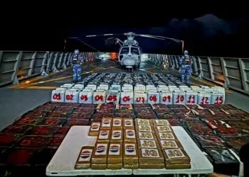 Menor Cortador De Aguacate Muere Electrocutado En Peribán