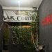 Asegura Fiscalía Droga En Un Bar De Morelia 6 Bienestar Abre Convocatoria Para Contratar Personal Médico Y De Enfermería Para Programa Salud Casa Por Casa