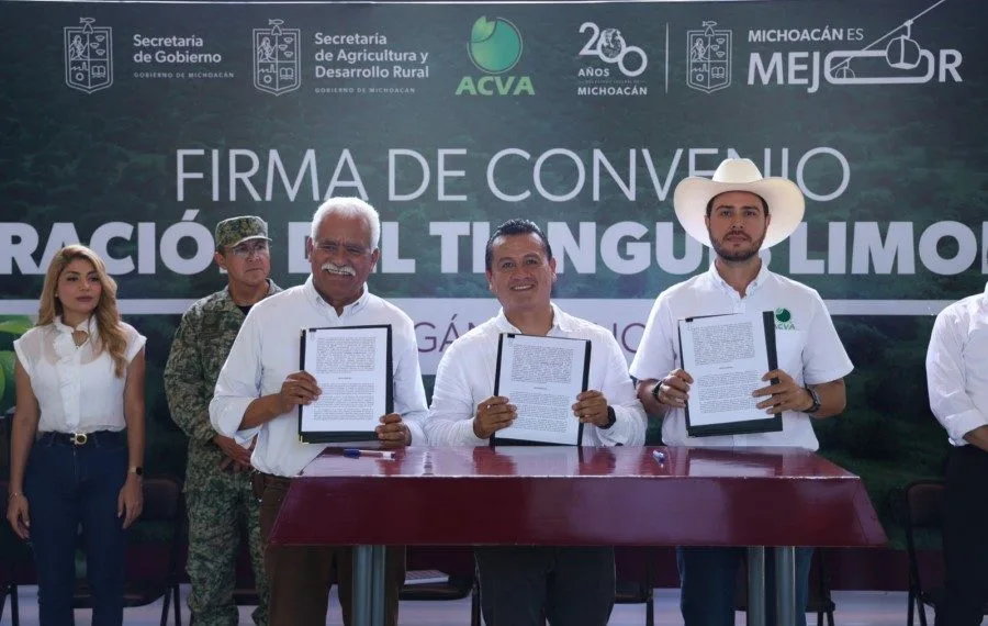 Asume Gobierno De Michoacan Coordinacion Del Tianguis Limonero De Apatzingan - El Día De Michoacán