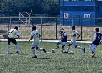 Inicia Cedh Queja De Oficio Vs Ayuntamiento De Tzintzuntzan Captura De Animales