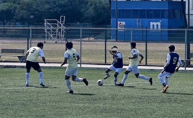 Inicia Cedh Queja De Oficio Vs Ayuntamiento De Tzintzuntzan Captura De Animales