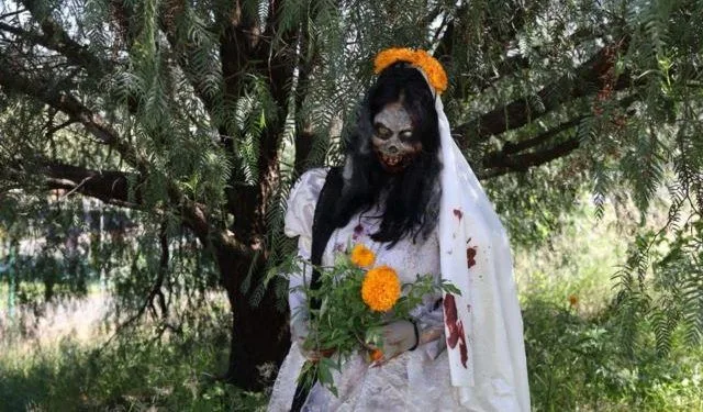 Desfile “Zombie Walk Morelia 2024” Se Realizará El Sábado 26 De Octubre A Las 19:00 Horas, Desde Plaza Morelos A Catedral