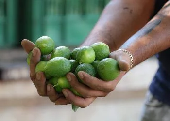 31 De Octubre, Cierran Inscripciones Para El Concurso De Canto “Canta Buenavista”