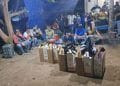 En Apatzingán, Ssp Desactiva Palenque Clandestino