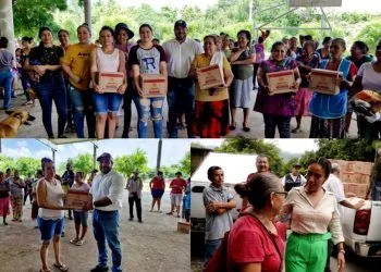 Cumple Fanny Arreola 100 Días Al Frente Del Ayuntamiento De Apatzingán