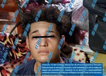 Inicia Cedh Queja De Oficio Vs Ayuntamiento De Tzintzuntzan Captura De Animales