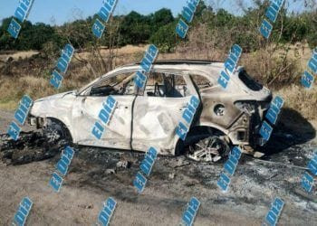 Inicia CEDH queja de oficio vs ayuntamiento de Tzintzuntzan captura de animales