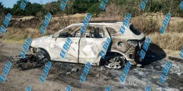 Inicia Cedh Queja De Oficio Vs Ayuntamiento De Tzintzuntzan Captura De Animales