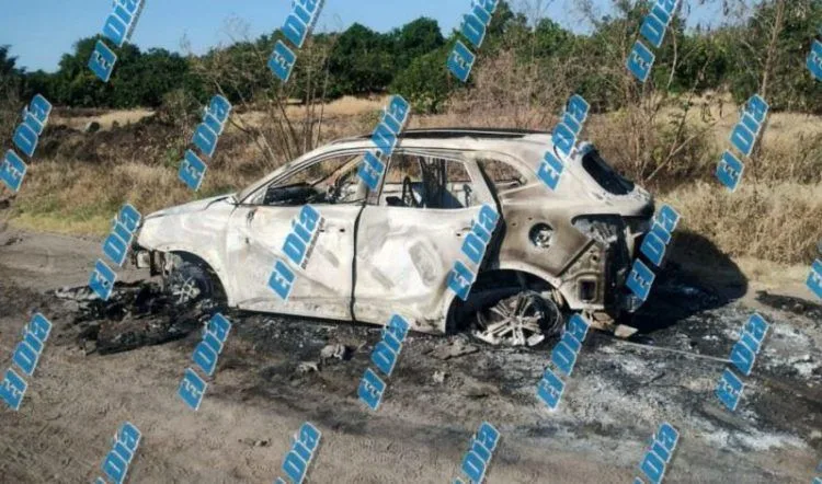 Inicia Cedh Queja De Oficio Vs Ayuntamiento De Tzintzuntzan Captura De Animales