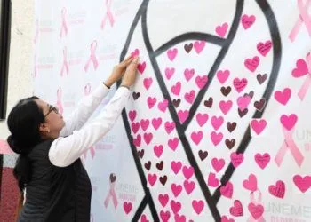 Gobierno Estatal, Sin Constructores Consentidos O Con Privilegios: Navarro García