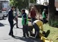 Supervisa Alfonso Martínez Bacheo, Poda De Áreas Verdes Y Clareo De Luminarias En Morelia