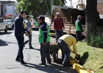 Supervisa Alfonso Martinez - El día de Michoacán