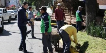 Supervisa Alfonso Martínez Bacheo, Poda De Áreas Verdes Y Clareo De Luminarias En Morelia 24 Supervisa Alfonso Martinez - El Día De Michoacán