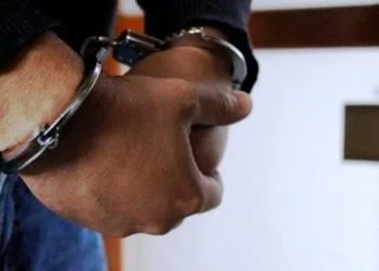 Designación De Excomisario De La Guardia Civil Como Encargado De Seguridad En Uruapan Abona A La Coordinación: Ssp