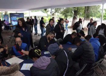 Inicia Cedh Queja De Oficio Vs Ayuntamiento De Tzintzuntzan Captura De Animales