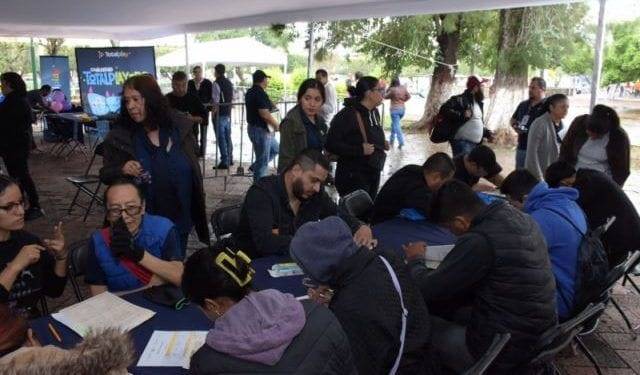 Inicia CEDH queja de oficio vs ayuntamiento de Tzintzuntzan captura de animales