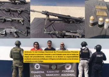 Así Puedes Prevenir El Dengue En Tu Hogar; La Ssm Te Dice Cómo