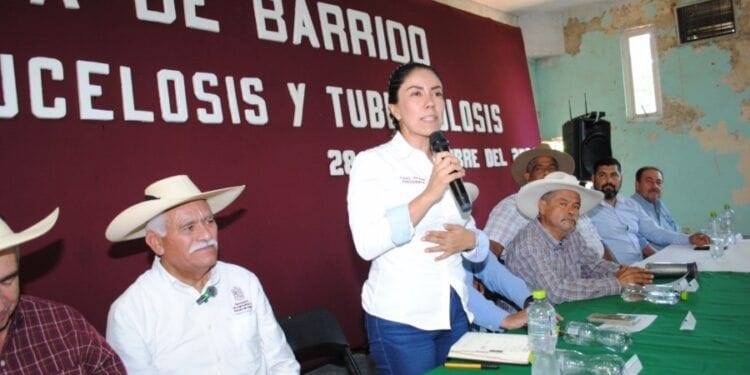 Banderazo a 2da. etapa de Barrido Ganadero de detección de Brucelosis y Tuberculosis en Apatzingán